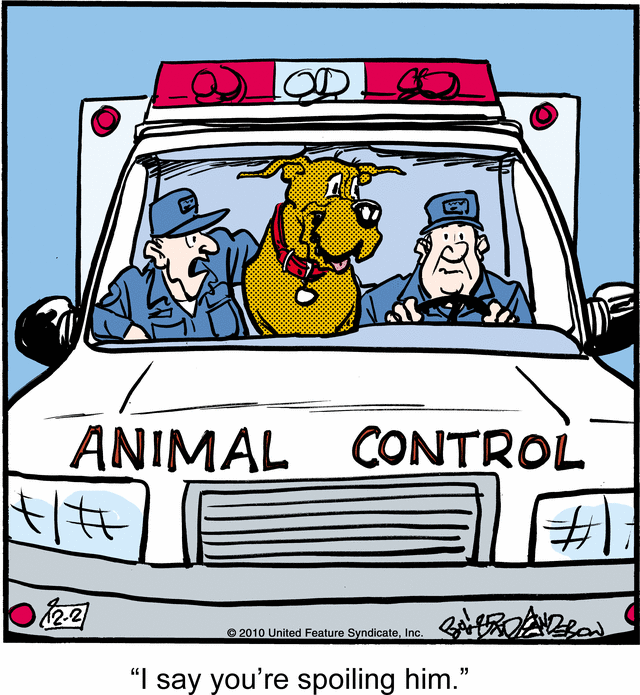 marmaduke